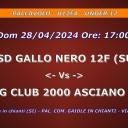 Anno 2023-2024 - PALLAVOLO - U12FA - UNDER 12 - ASD GALLO NERO 12F (SU) - Vs - SPORTING CLUB 2000 ASCIANO U12 (SU) - Dom 28/04/2024 Ore 17:00